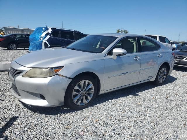 2013 Lexus ES 300H