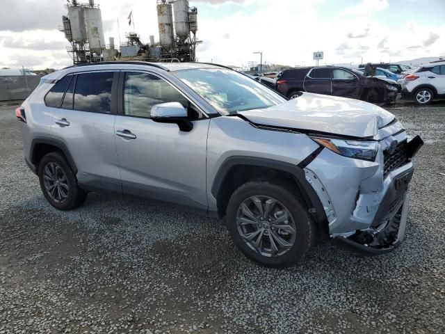 2024 Toyota Rav4 XLE Premium