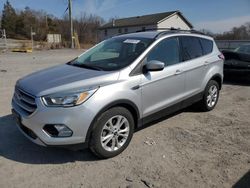 Salvage cars for sale at York Haven, PA auction: 2017 Ford Escape SE