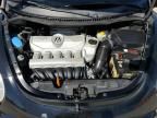 2008 Volkswagen New Beetle S