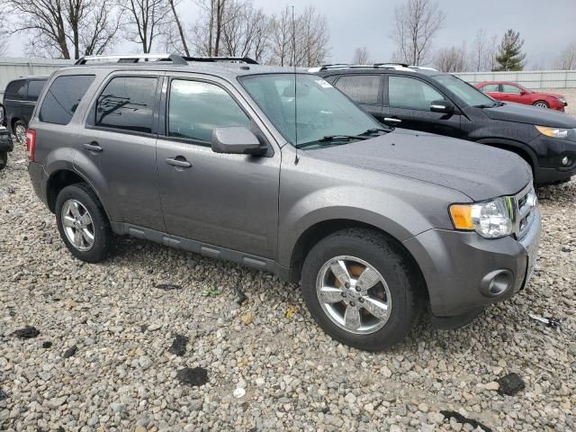 2011 Ford Escape Limited