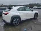 2020 Lexus UX 250H