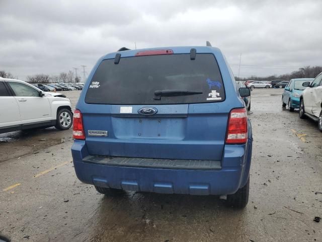 2009 Ford Escape XLT