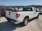 2009 Ford F150