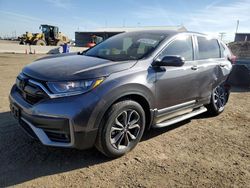 Salvage cars for sale at Brighton, CO auction: 2022 Honda CR-V EXL