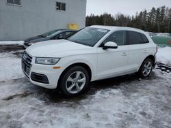 Clean Title Cars for sale at auction: 2019 Audi Q5 Premium Plus