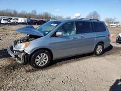 Honda Odyssey exl salvage cars for sale: 2008 Honda Odyssey EXL