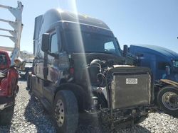 Salvage trucks for sale at Cartersville, GA auction: 2023 Freightliner Cascadia 126 Truck Cab AND Chassis