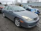 2005 Lexus ES 330