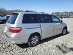 2005 Honda Odyssey EXL