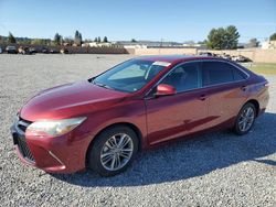 Salvage cars for sale at Mentone, CA auction: 2016 Toyota Camry LE