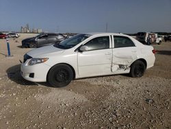 Salvage cars for sale from Copart New Braunfels, TX: 2010 Toyota Corolla Base