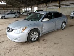 Salvage cars for sale at Phoenix, AZ auction: 2010 Nissan Altima Base