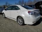 2010 Lexus HS 250H