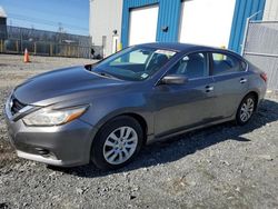 Salvage cars for sale at Elmsdale, NS auction: 2016 Nissan Altima 2.5