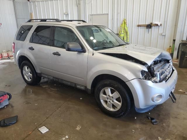 2009 Ford Escape XLT