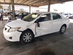 Salvage cars for sale at Hayward, CA auction: 2009 Toyota Corolla Base