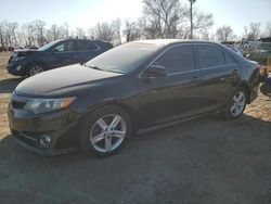 Salvage cars for sale at Baltimore, MD auction: 2013 Toyota Camry SE