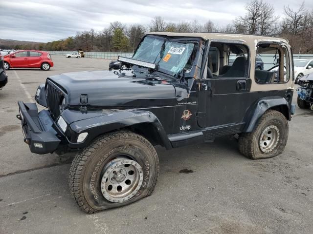 2002 Jeep Wrangler / TJ Sahara