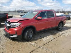 Salvage cars for sale at Louisville, KY auction: 2023 Honda Ridgeline RTL