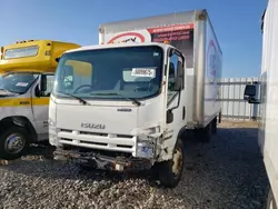 Salvage trucks for sale at Avon, MN auction: 2012 Isuzu NPR HD