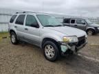 2005 Ford Escape XLT