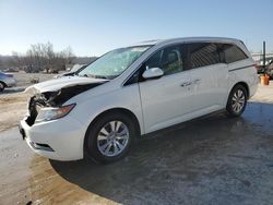 Honda Odyssey exl Vehiculos salvage en venta: 2016 Honda Odyssey EXL