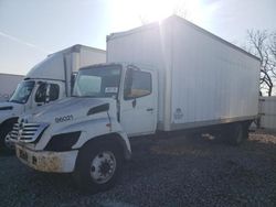 Salvage trucks for sale at Avon, MN auction: 2009 Hino 258 268