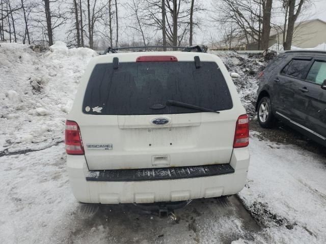 2012 Ford Escape XLT