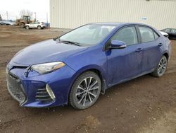 Salvage cars for sale at Rocky View County, AB auction: 2019 Toyota Corolla L