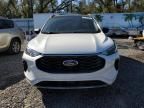 2024 Ford Escape ST Line