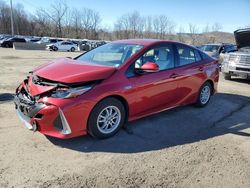 Toyota Prius Prime salvage cars for sale: 2017 Toyota Prius Prime