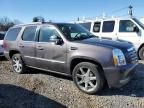 2010 Cadillac Escalade Premium