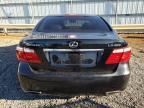 2007 Lexus LS 460