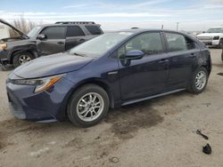 Salvage cars for sale at Albuquerque, NM auction: 2020 Toyota Corolla LE