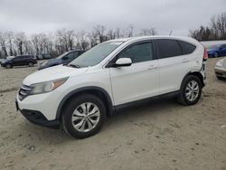 Salvage cars for sale at Baltimore, MD auction: 2014 Honda CR-V EX