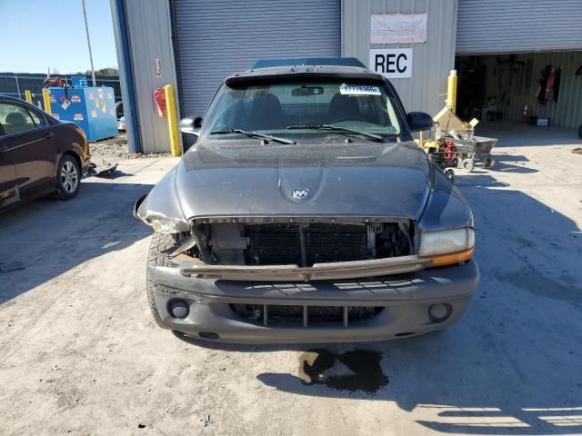 2003 Dodge Dakota SXT