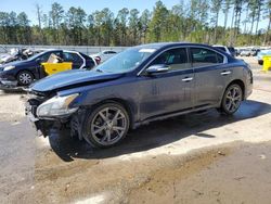 2014 Nissan Maxima S en venta en Harleyville, SC