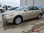 2007 Toyota Camry Hybrid