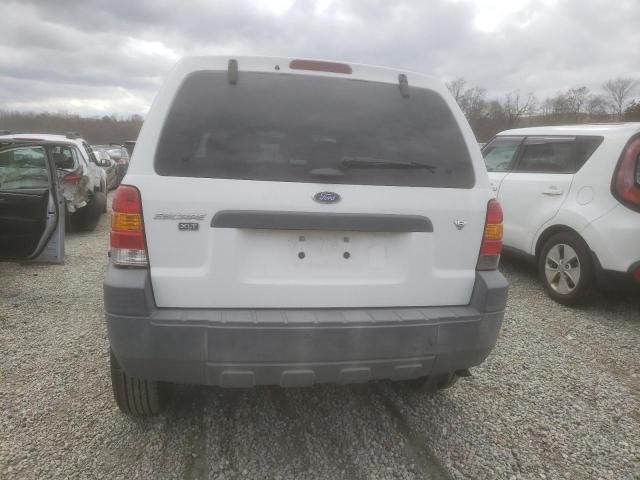 2007 Ford Escape XLT