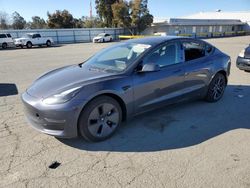 Salvage cars for sale at Martinez, CA auction: 2023 Tesla Model 3