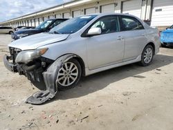 Salvage cars for sale at Louisville, KY auction: 2010 Toyota Corolla Base