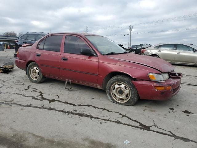 1996 Toyota Corolla