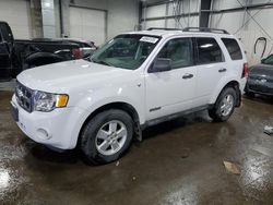 Salvage cars for sale at Ham Lake, MN auction: 2008 Ford Escape XLT