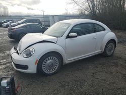 Salvage cars for sale at Arlington, WA auction: 2014 Volkswagen Beetle