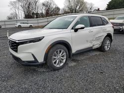 Salvage cars for sale at Gastonia, NC auction: 2024 Honda CR-V EX