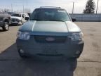 2006 Ford Escape XLT