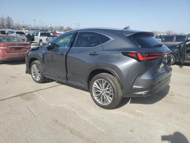 2025 Lexus NX 350H Base