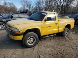 Salvage trucks for sale at Baltimore, MD auction: 1999 Dodge Dakota