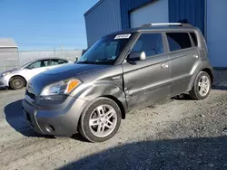 Salvage cars for sale at Elmsdale, NS auction: 2010 KIA Soul +